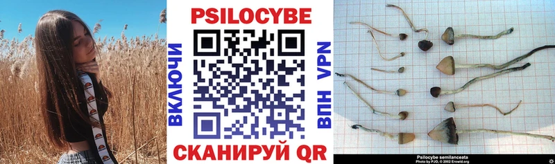 Псилоцибиновые грибы Psilocybe купить наркоту Переславль-Залесский
